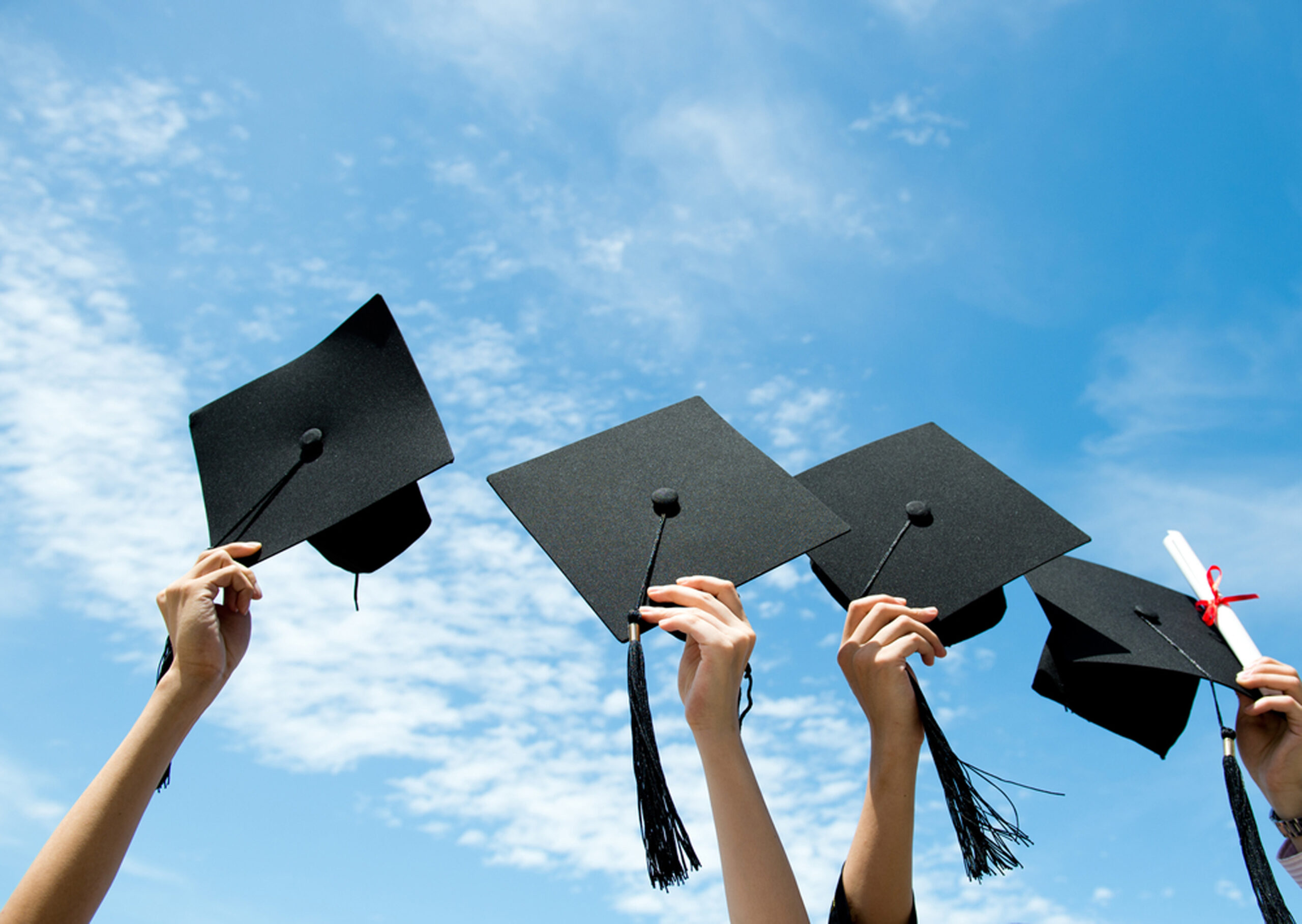 Understanding MSW Degree Requirements